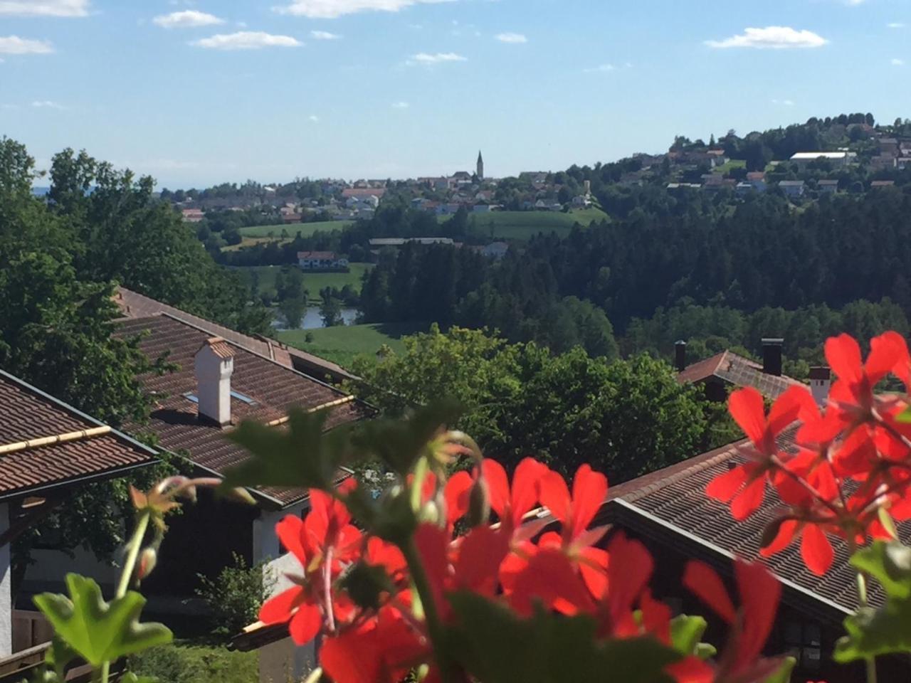 Ferienwohnung Waldblick 하우젠베르크 외부 사진